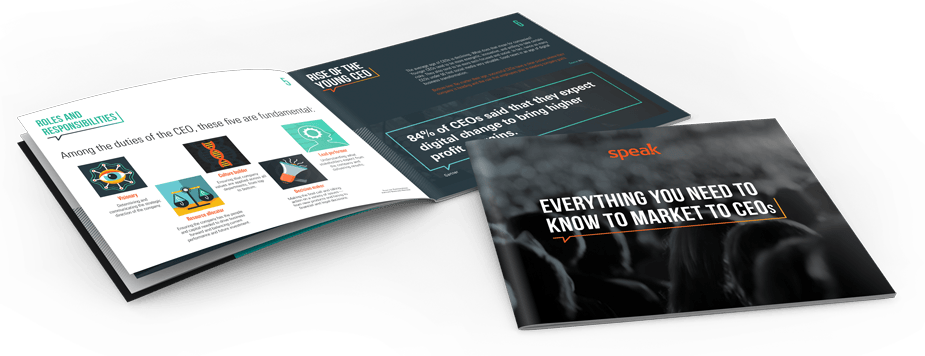 Everything you need to know to market to the CEO